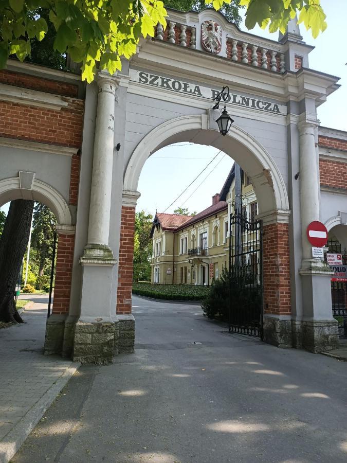 Apartament U Agaty Czernichow Krakow Zator ภายนอก รูปภาพ