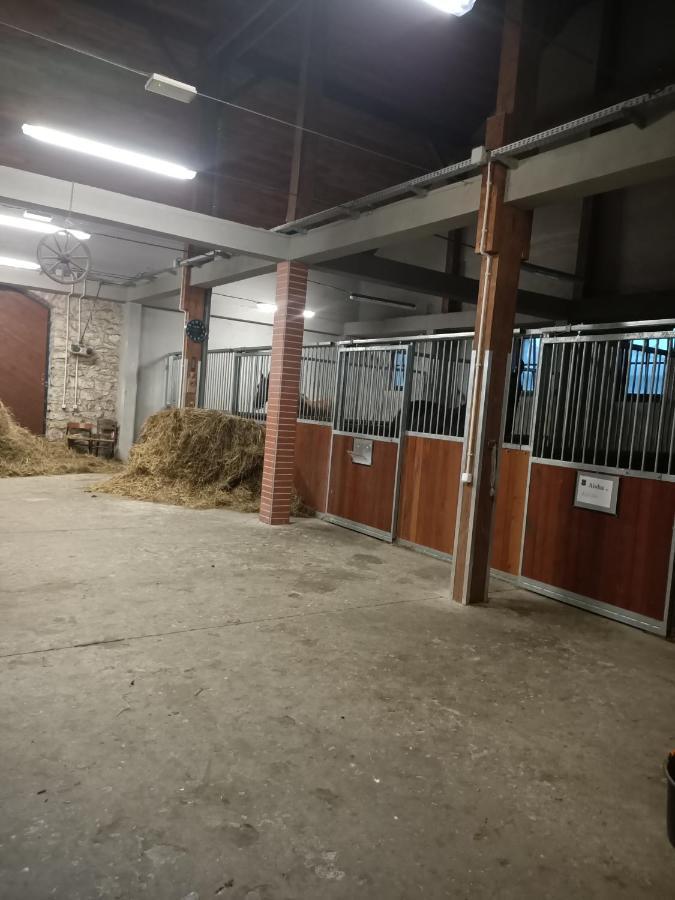 Apartament U Agaty Czernichow Krakow Zator ภายนอก รูปภาพ